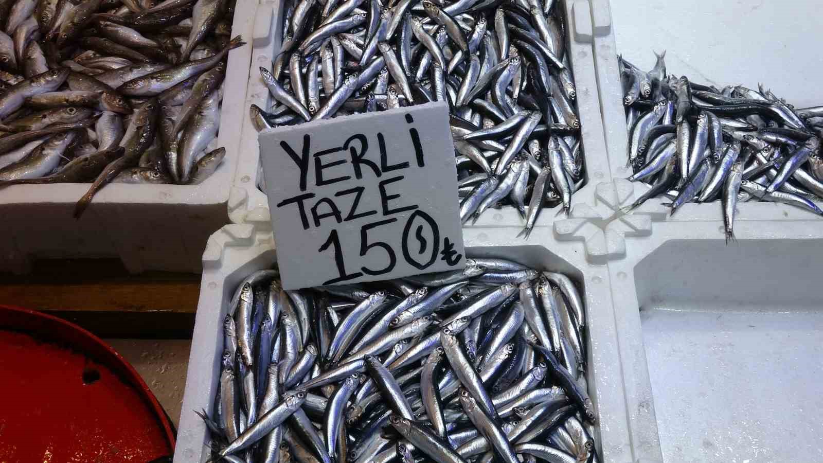 hamsi bu defa sasirtti tezgahlar yeniden senlendi QeiGnhs6