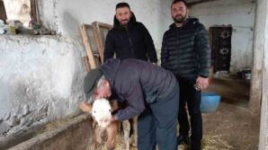 hasta buzagiya evinde bakti 3XKFArsM