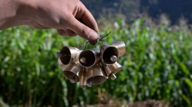 hurda metalden sanata donusen kurtun zili icin cografi isaret hamlesi IN5aea64