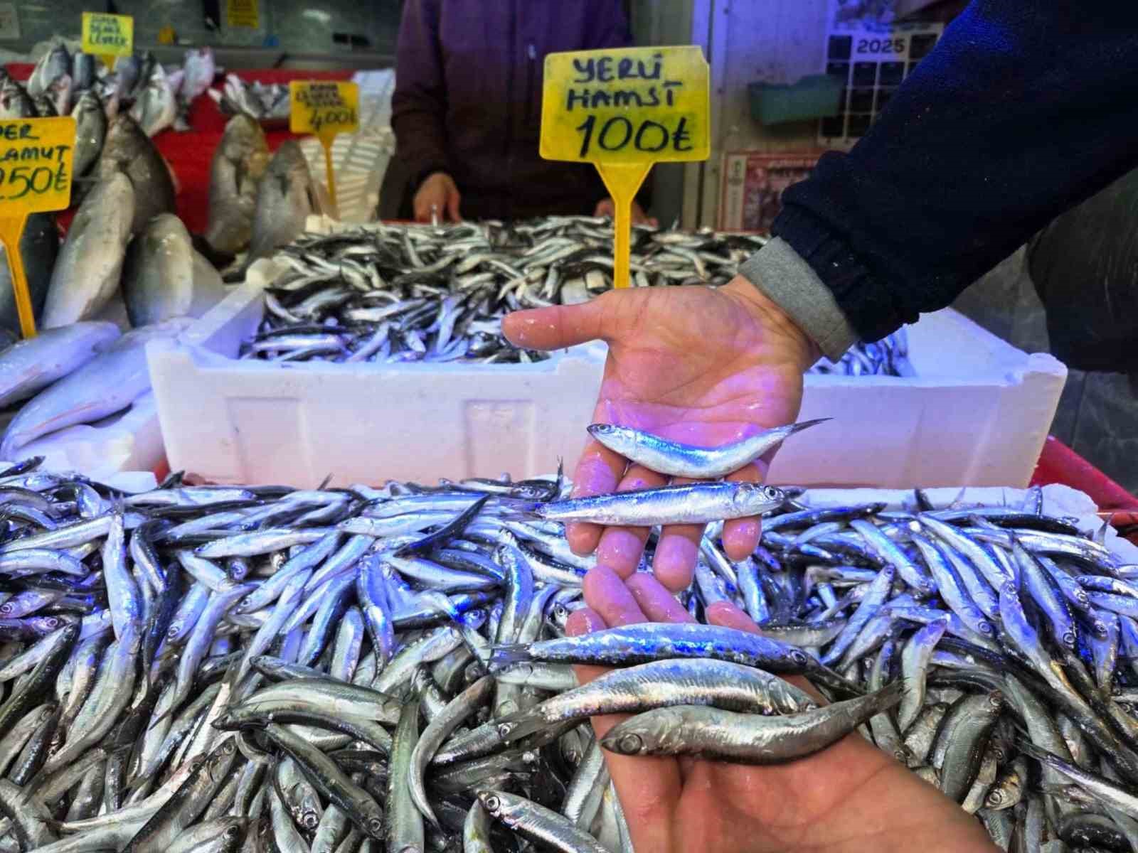 karadenizde hamsi bereketi tezgahlar iri hamsiyle doldu 5OXykhqX