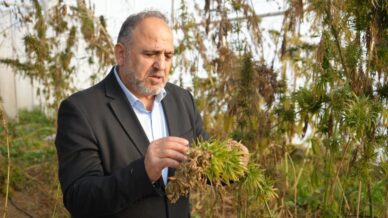 kenevirden kaucuk krem ve biyomalzeme omuden cok yonlu kenevir calismalari hh3tXhcr