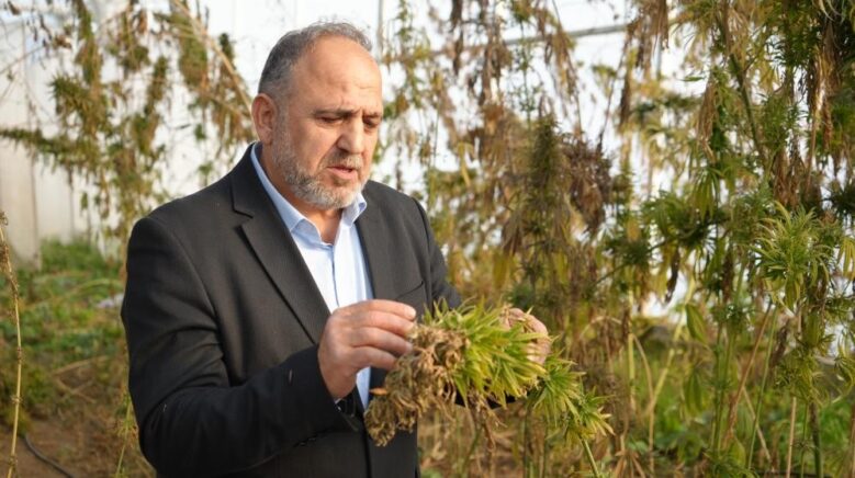 kenevirden kaucuk krem ve biyomalzeme omuden cok yonlu kenevir calismalari hh3tXhcr