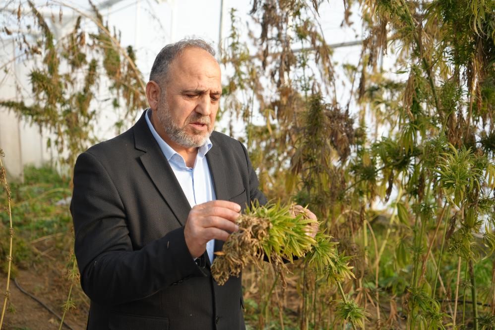 kenevirden kaucuk krem ve biyomalzeme omuden cok yonlu kenevir calismalari hh3tXhcr