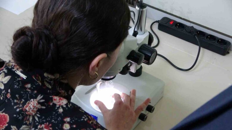 kolorektal kanser tedavisi icin yeni umut G3jhTHdF