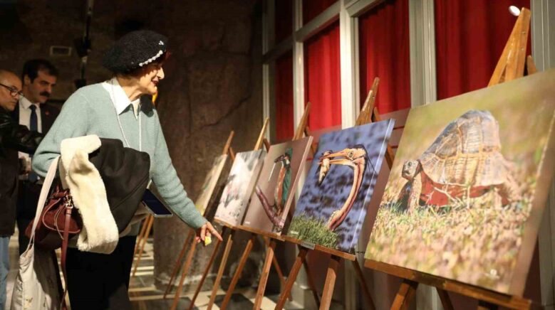 kus cennetinden muhtesem kareler tbmm yolunda 7lTqQzXZ