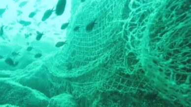 prof dr coskun eruz karadenizin dogal ekosistemini ve biyocesitliligini korumak icin hayalet aglari temizlemek hXnBpEwO