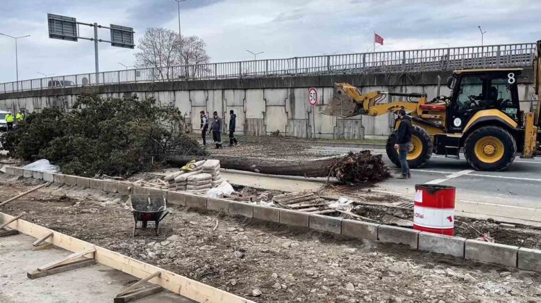 rizede firtina FD7WQemE