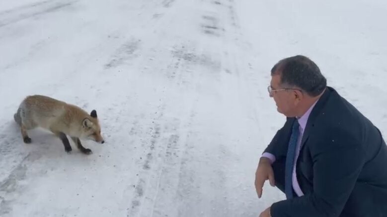 sahara gecidinde karsilastigi tilkiye yiyecek verdi afCuCyty