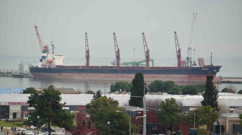 samsun gumrugunden en cok meyve ihrac edildi motorin ithal edildi ChrmcI3x