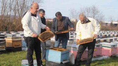 turkiyede en fazla bal uretiminin yapildigi orduda aricilar sezona hazirlaniyor 8SLl1Lpa