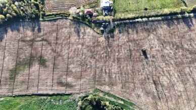 turkiyedeki sehirler samsunda uretilen fidanlarla yeserdi 4LqYpf9A