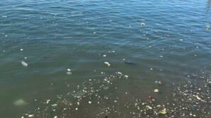 zonguldak sahilinde cop tepkisi nelFvpgX