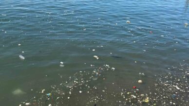 zonguldak sahilinde cop tepkisi nelFvpgX