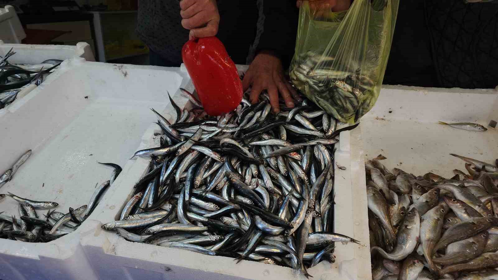 zonguldakta limandan 500 ton hamsi cikti