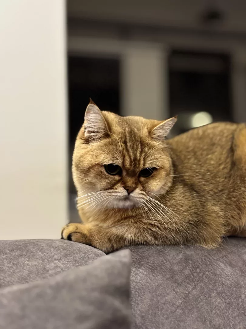 Karabük Postası Avatarı