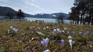 abantta karlarin ardindan bahar manzarasi 9YSyFWEN