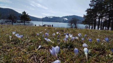 abantta karlarin ardindan bahar manzarasi 9YSyFWEN