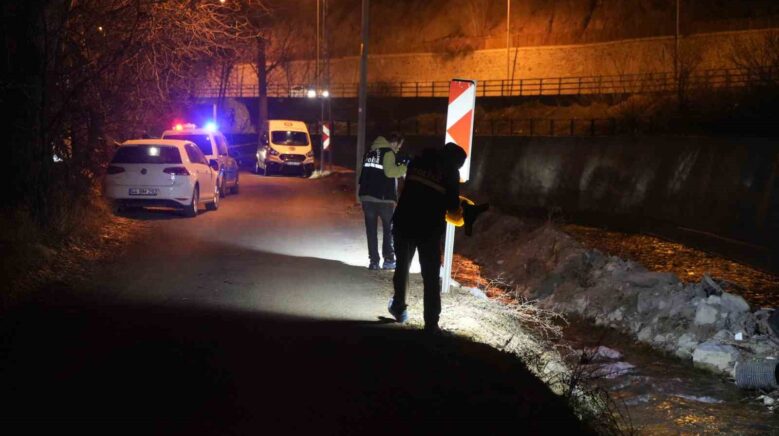 alzheimer hastasi yasli adam harsit cayinda olu bulundu fdIG6KTJ