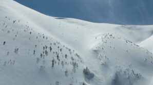 artvinde cig faciasi kayip kisi icin calismalar 86 gundur suruyor hpfHRrf1