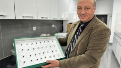 bocekler cinayetleri aydinlatiyor olum zamani ve olay yeri entomolojiyle belirlenebiliyor Jcy7gmV4