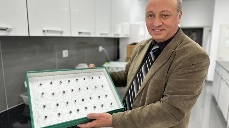 bocekler cinayetleri aydinlatiyor olum zamani ve olay yeri entomolojiyle belirlenebiliyor Jcy7gmV4