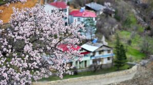 gumushanede baharin renkleri kisin beyaziyla kucaklasti WphXbqFS