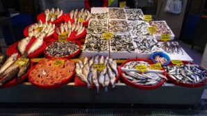 hamside beklenen son E83GTwVh