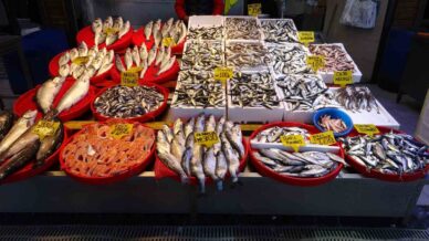 hamside beklenen son E83GTwVh