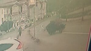 kastamonuda lastigi firlayan tarim araci takla atti 1 yarali I1gQgqbA