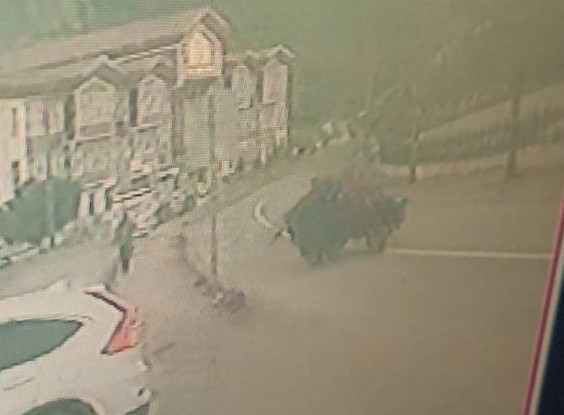 kastamonuda lastigi firlayan tarim araci takla atti 1 yarali I1gQgqbA