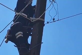 kopeklerden korkup elektrik diregine cikan kedi kurtarildi B5vKWrC9