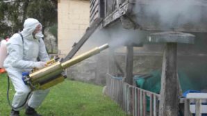 orduda kahverengi kokarca ile kislak mucadelesi 330 bin noktadan 190 bini ilaclandi IMQAxi8N