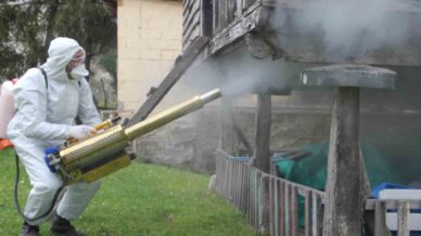 orduda kahverengi kokarca ile kislak mucadelesi 330 bin noktadan 190 bini ilaclandi IMQAxi8N