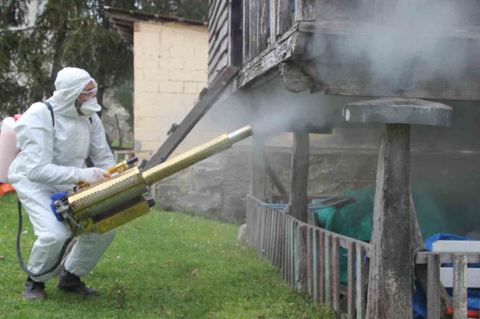 orduda kahverengi kokarca ile kislak mucadelesi 330 bin noktadan 190 bini ilaclandi