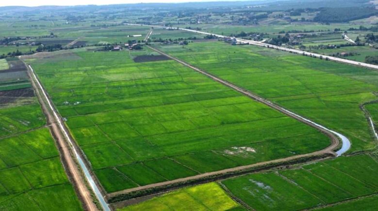 samsunda bozulan tarim arazileri cezasiz kalmadi 48 islem uygulandi qanetWpf