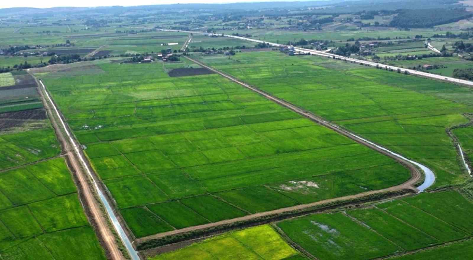 samsunda bozulan tarim arazileri cezasiz kalmadi 48 islem uygulandi qanetWpf