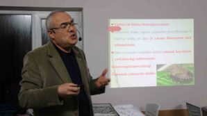 uzmani kahverengi kokarca icin tarih verdi 2030 yilindan itibaren gundemden cikmaya baslayacak 5ehz1lux