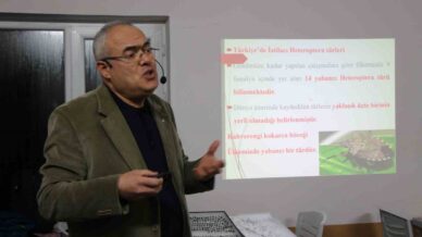 uzmani kahverengi kokarca icin tarih verdi 2030 yilindan itibaren gundemden cikmaya baslayacak 5ehz1lux