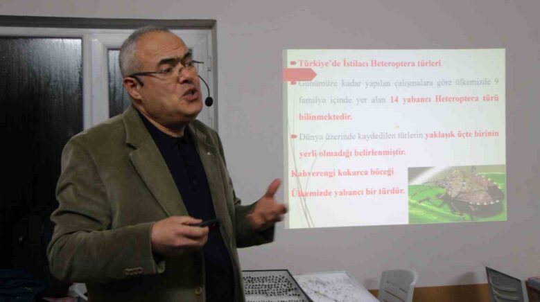 uzmani kahverengi kokarca icin tarih verdi 2030 yilindan itibaren gundemden cikmaya baslayacak 5ehz1lux