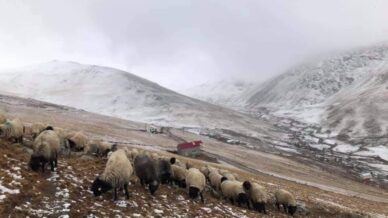 300 yillik kullanima mudahale tepki cekti FFDpQrZW