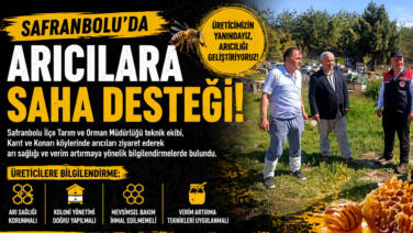 ar original