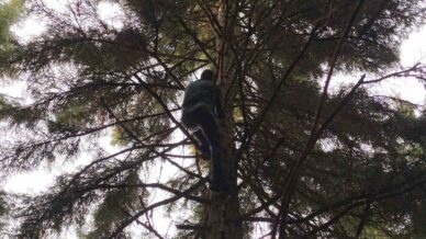 artvinde 40 metrelik goknar agacinin tepesine takilan dronu boyle kurtardilar CDefvs24