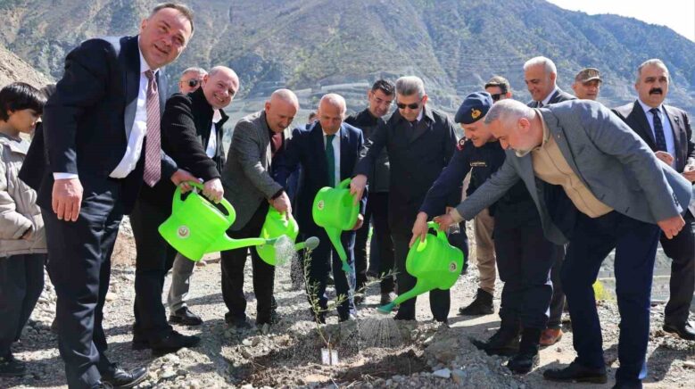 artvinde 450 butko zeytini fidani toprakla bulusturuldu dH4Usz7N