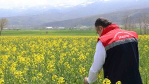 aycicegi ve kuru fasulye tohumlari ciftcilere teslim edildi maLd13uQ