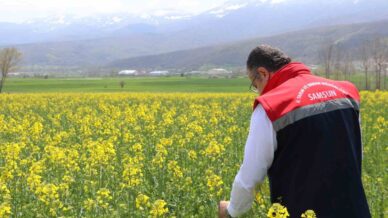 aycicegi ve kuru fasulye tohumlari ciftcilere teslim edildi maLd13uQ