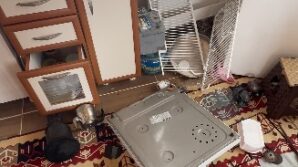 ayilar trabzonda yaylalardan sonra mahallelere dadandi cV528PTr