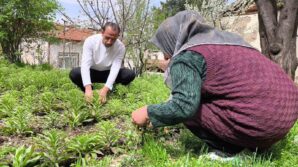 babasindan miras kalan akzambaklara gozu gibi bakiyor gmFn2rW1