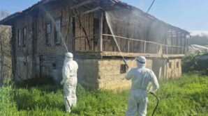 bartinda kahverengi kokarca kis uykusunda yok edilecek pmTPlJru