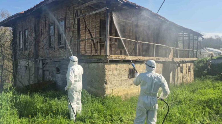 bartinda kahverengi kokarca kis uykusunda yok edilecek pmTPlJru