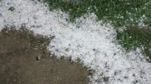 boluda sabaha karsi yagan dolu yesil alanlari beyaza burudu ZSOTqnMW